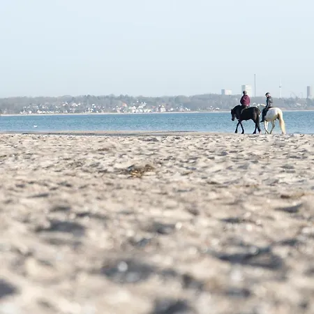 Wohnpark Am Muehlenteich - 32 Apartament *