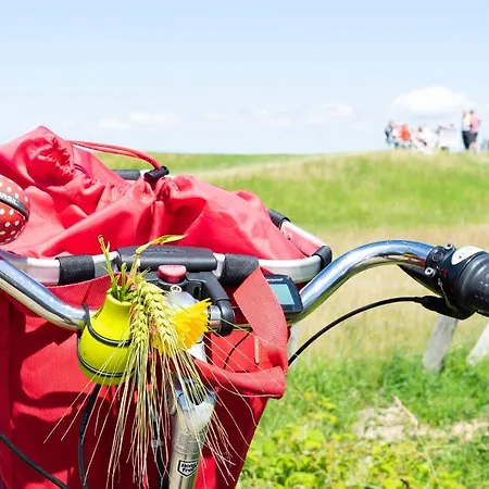 Wohnpark Am Muehlenteich - 32 *